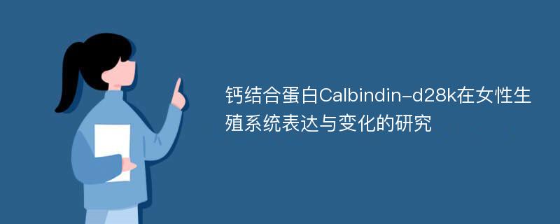 钙结合蛋白Calbindin-d28k在女性生殖系统表达与变化的研究