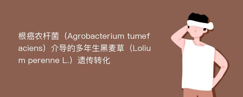 根癌农杆菌（Agrobacterium tumefaciens）介导的多年生黑麦草（Lolium perenne L.）遗传转化