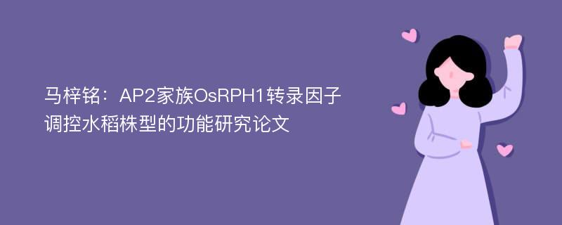 马梓铭：AP2家族OsRPH1转录因子调控水稻株型的功能研究论文