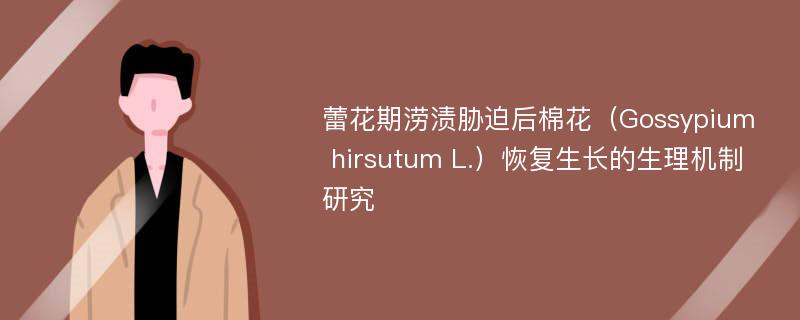 蕾花期涝渍胁迫后棉花（Gossypium hirsutum L.）恢复生长的生理机制研究