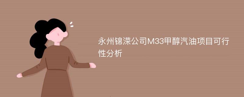 永州锦溁公司M33甲醇汽油项目可行性分析