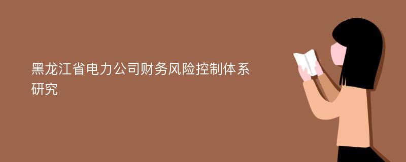 黑龙江省电力公司财务风险控制体系研究