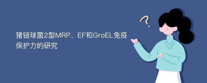 猪链球菌2型MRP、EF和GroEL免疫保护力的研究