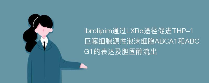 Ibrolipim通过LXRα途径促进THP-1巨噬细胞源性泡沫细胞ABCA1和ABCG1的表达及胆固醇流出