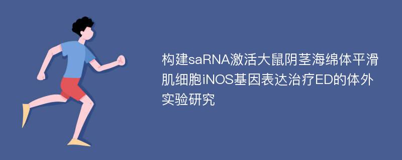 构建saRNA激活大鼠阴茎海绵体平滑肌细胞iNOS基因表达治疗ED的体外实验研究