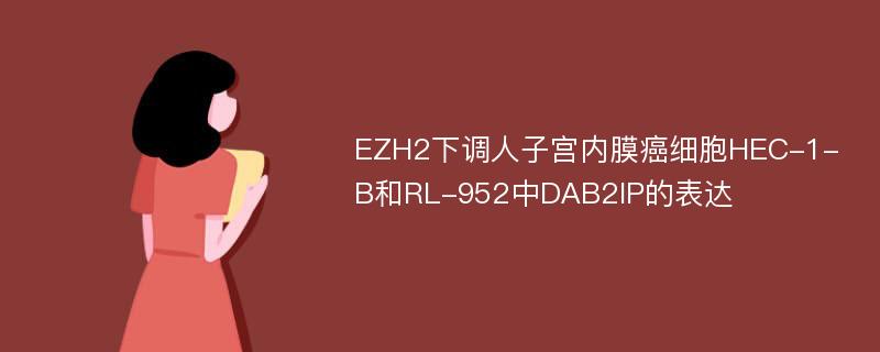 EZH2下调人子宫内膜癌细胞HEC-1-B和RL-952中DAB2IP的表达