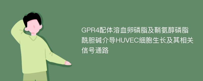 GPR4配体溶血卵磷脂及鞘氨醇磷脂酰胆碱介导HUVEC细胞生长及其相关信号通路