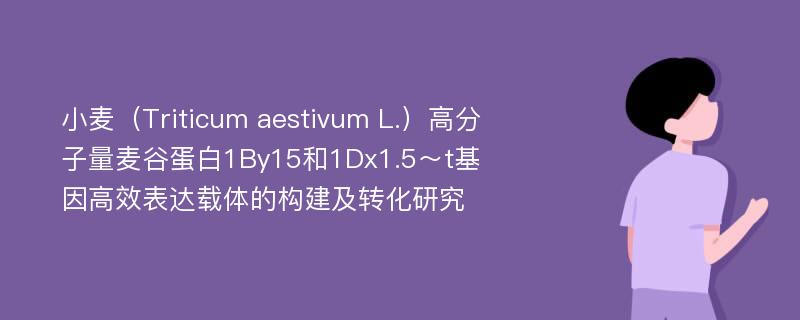 小麦（Triticum aestivum L.）高分子量麦谷蛋白1By15和1Dx1.5～t基因高效表达载体的构建及转化研究