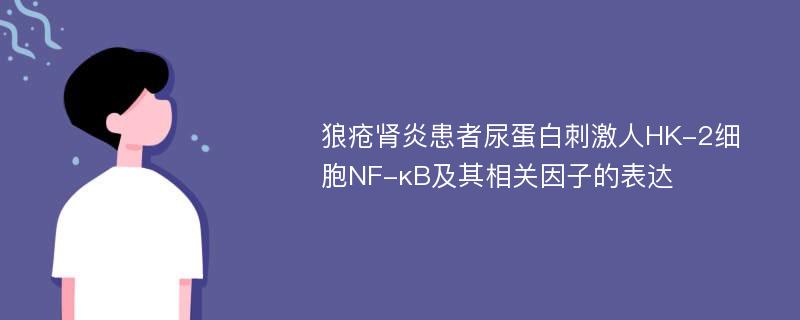 狼疮肾炎患者尿蛋白刺激人HK-2细胞NF-κB及其相关因子的表达