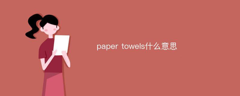 paper towels什么意思