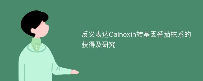 反义表达Calnexin转基因番茄株系的获得及研究