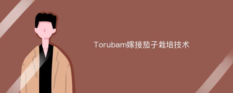 Torubam嫁接茄子栽培技术
