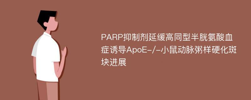 PARP抑制剂延缓高同型半胱氨酸血症诱导ApoE-/-小鼠动脉粥样硬化斑块进展