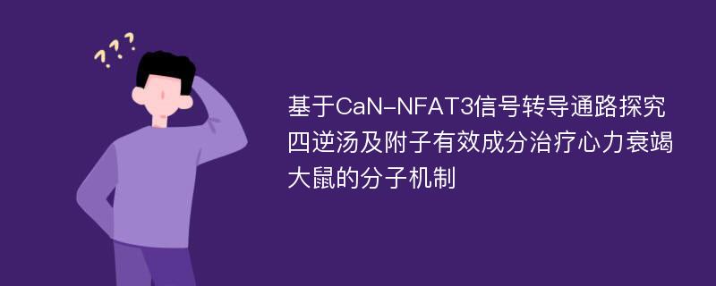 基于CaN-NFAT3信号转导通路探究四逆汤及附子有效成分治疗心力衰竭大鼠的分子机制