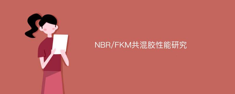 NBR/FKM共混胶性能研究