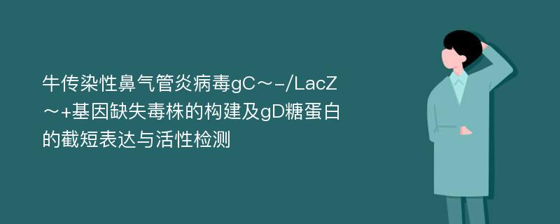 牛传染性鼻气管炎病毒gC～-/LacZ～+基因缺失毒株的构建及gD糖蛋白的截短表达与活性检测