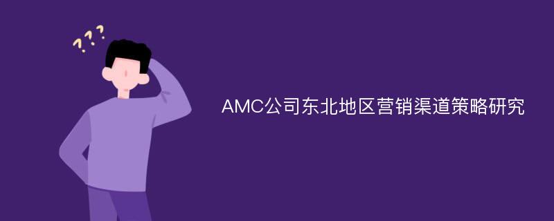 AMC公司东北地区营销渠道策略研究