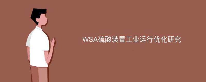 WSA硫酸装置工业运行优化研究