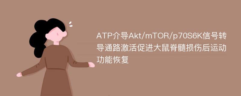 ATP介导Akt/mTOR/p70S6K信号转导通路激活促进大鼠脊髓损伤后运动功能恢复