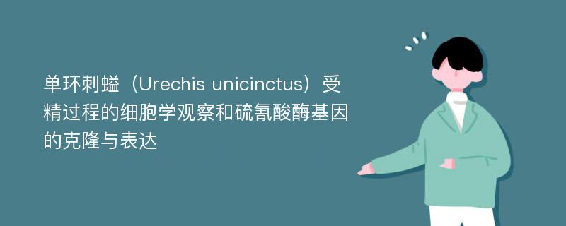 单环刺螠（Urechis unicinctus）受精过程的细胞学观察和硫氰酸酶基因的克隆与表达