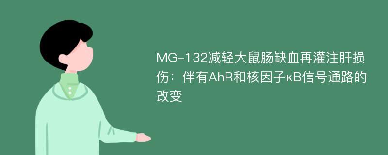 MG-132减轻大鼠肠缺血再灌注肝损伤：伴有AhR和核因子κB信号通路的改变