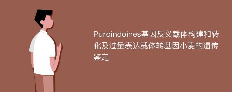 Puroindoines基因反义载体构建和转化及过量表达载体转基因小麦的遗传鉴定