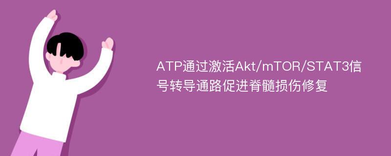 ATP通过激活Akt/mTOR/STAT3信号转导通路促进脊髓损伤修复