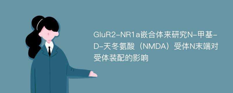 GluR2-NR1a嵌合体来研究N-甲基-D-天冬氨酸（NMDA）受体N末端对受体装配的影响