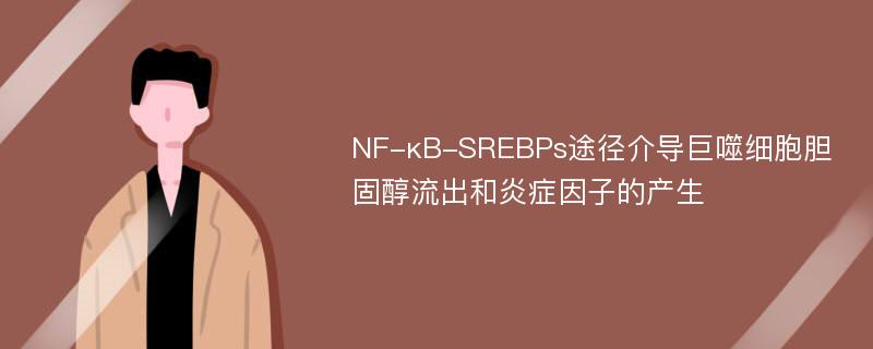 NF-κB-SREBPs途径介导巨噬细胞胆固醇流出和炎症因子的产生