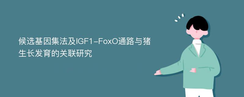 候选基因集法及IGF1-FoxO通路与猪生长发育的关联研究
