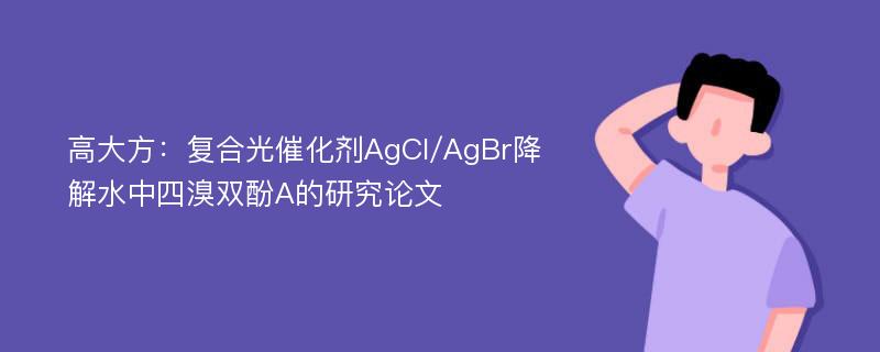 高大方：复合光催化剂AgCl/AgBr降解水中四溴双酚A的研究论文