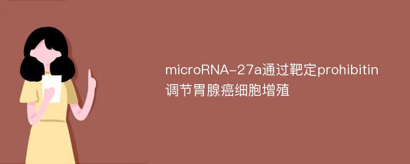 microRNA-27a通过靶定prohibitin调节胃腺癌细胞增殖
