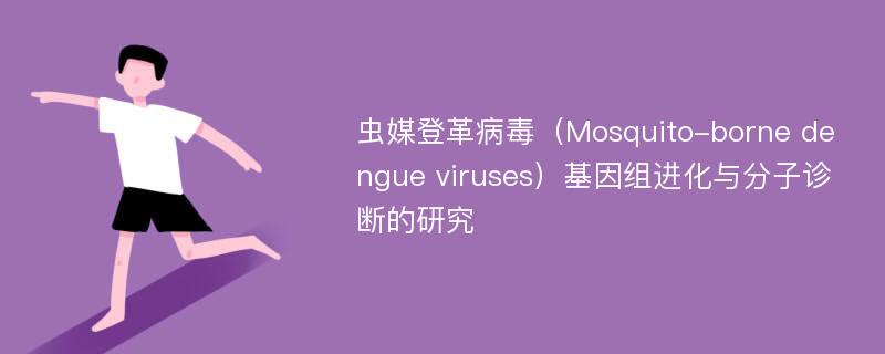 虫媒登革病毒（Mosquito-borne dengue viruses）基因组进化与分子诊断的研究