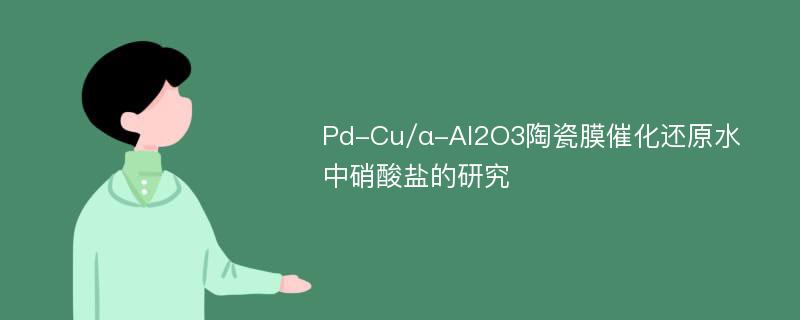 Pd-Cu/α-Al2O3陶瓷膜催化还原水中硝酸盐的研究