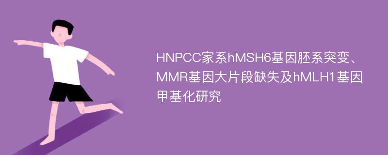 HNPCC家系hMSH6基因胚系突变、MMR基因大片段缺失及hMLH1基因甲基化研究