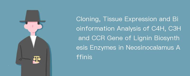 Cloning, Tissue Expression and Bioinformation Analysis of C4H, C3H and CCR Gene of Lignin Biosynthesis Enzymes in Neosinocalamus Affinis