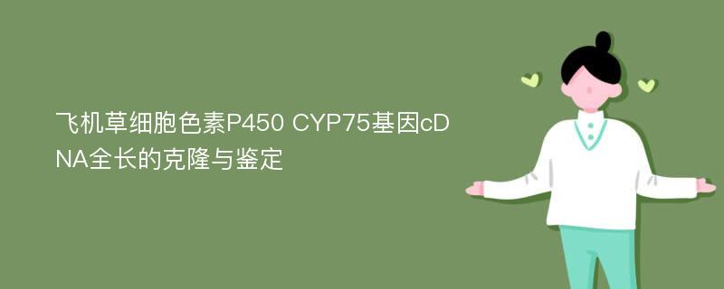 飞机草细胞色素P450 CYP75基因cDNA全长的克隆与鉴定