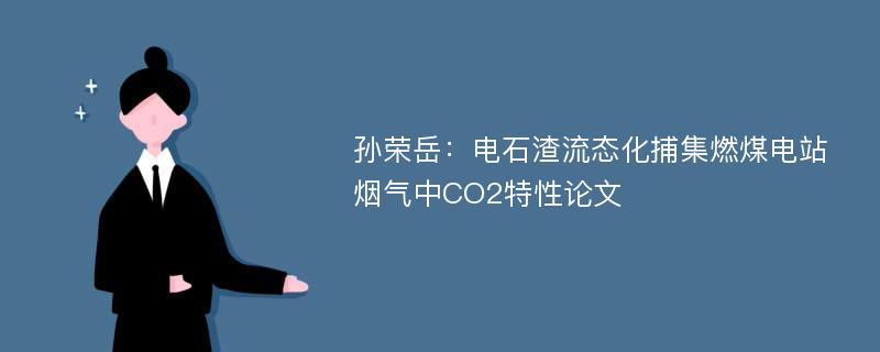 孙荣岳：电石渣流态化捕集燃煤电站烟气中CO2特性论文