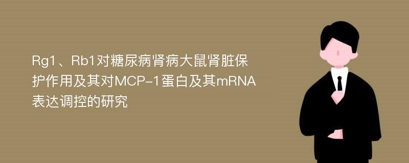 Rg1、Rb1对糖尿病肾病大鼠肾脏保护作用及其对MCP-1蛋白及其mRNA表达调控的研究