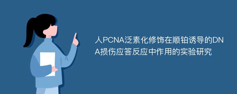 人PCNA泛素化修饰在顺铂诱导的DNA损伤应答反应中作用的实验研究