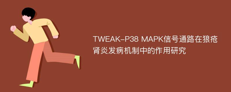TWEAK-P38 MAPK信号通路在狼疮肾炎发病机制中的作用研究