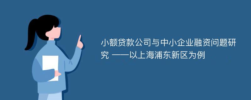 小额贷款公司与中小企业融资问题研究 ——以上海浦东新区为例