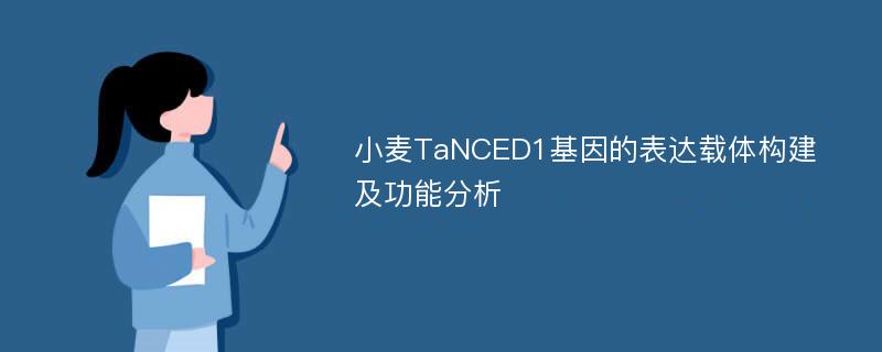 小麦TaNCED1基因的表达载体构建及功能分析