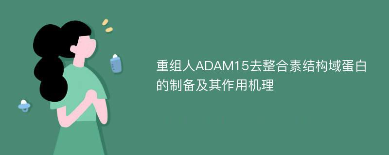 重组人ADAM15去整合素结构域蛋白的制备及其作用机理