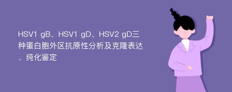 HSV1 gB、HSV1 gD、HSV2 gD三种蛋白胞外区抗原性分析及克隆表达、纯化鉴定