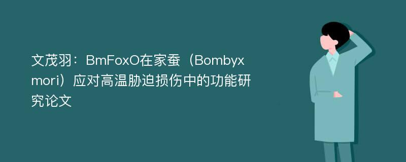 文茂羽：BmFoxO在家蚕（Bombyx mori）应对高温胁迫损伤中的功能研究论文