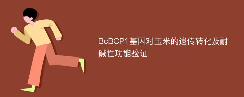BcBCP1基因对玉米的遗传转化及耐碱性功能验证