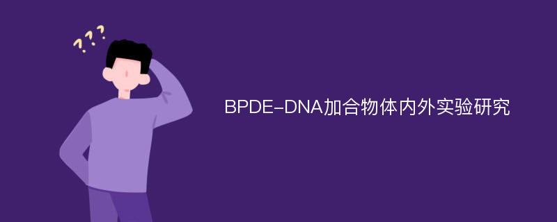 BPDE-DNA加合物体内外实验研究