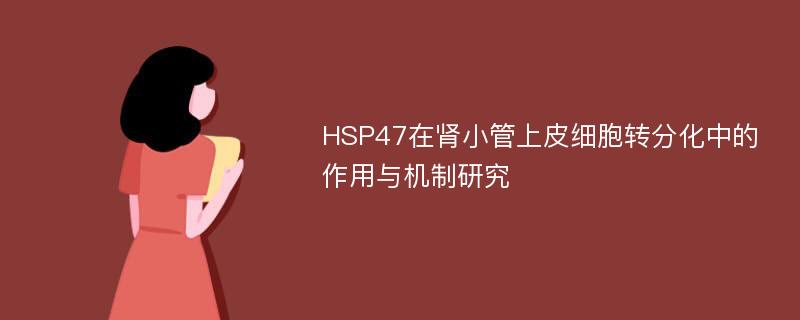 HSP47在肾小管上皮细胞转分化中的作用与机制研究
