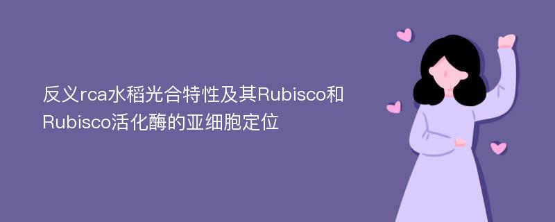 反义rca水稻光合特性及其Rubisco和Rubisco活化酶的亚细胞定位